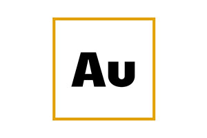 AU SECURITY